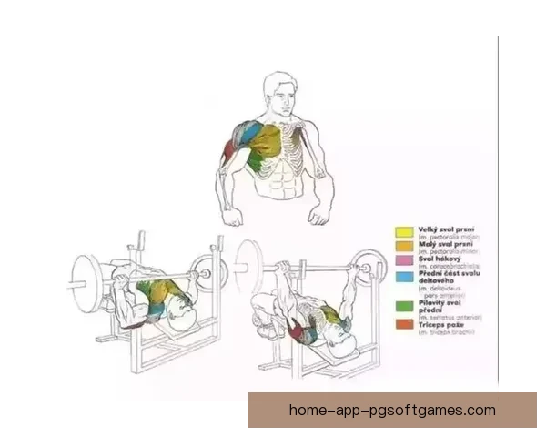 健身规则:全方位指导,科学有效实践 健身规则:全方位指导,科学有效实践