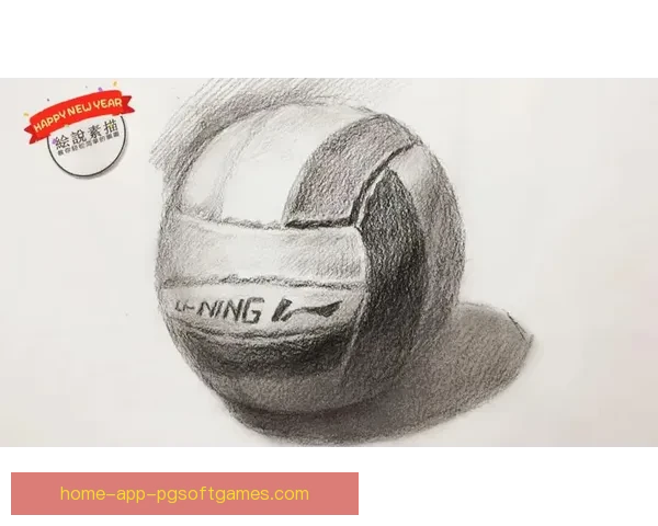 学会排球：从零基础到高级技巧