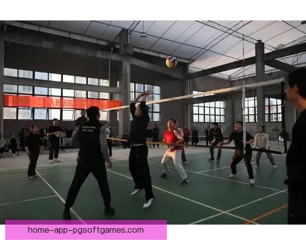 排球热潮:挥洒汗水,搏击荣耀 排球热潮:挥洒汗水,搏击荣耀