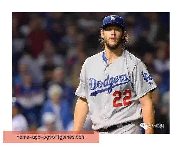 揭秘棒球冠军的诞生之路