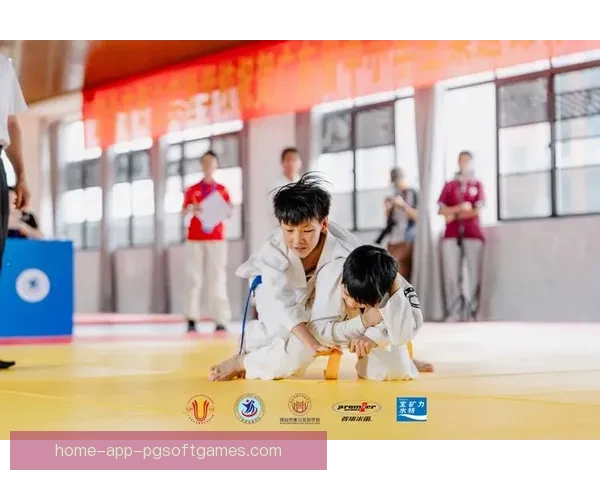 柔道比赛分析与预测技巧分享