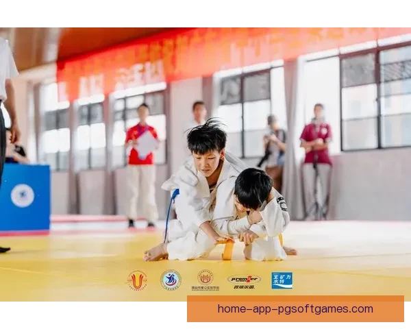 柔道赛事精彩回放集锦及解说