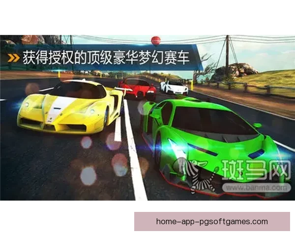 极速飙车，挑战极限，激情直播