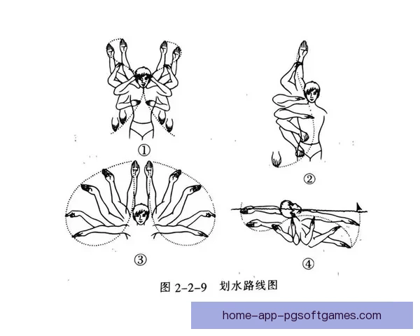 游泳入门：掌握基本姿势和呼吸技巧