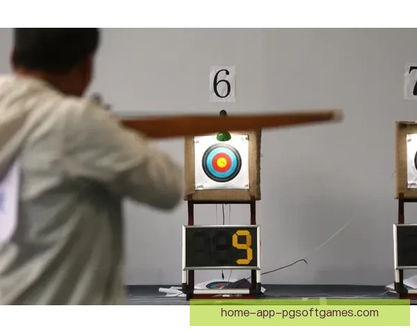 箭无虚发，弓挥青云：探寻射箭锦标赛的胜者与王者よ