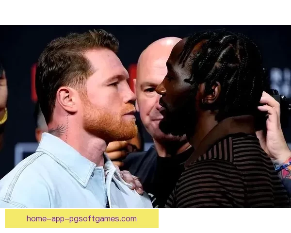 终极拳击巅峰对决：风云再起