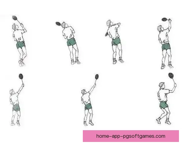 羽毛球比赛规则及技巧分析 羽毛球比赛规则及技巧分析