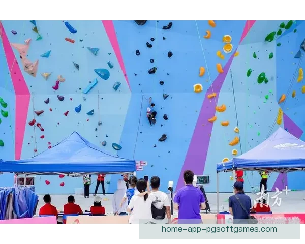 精彩纷呈：攀岩赛事带来刺激挑战