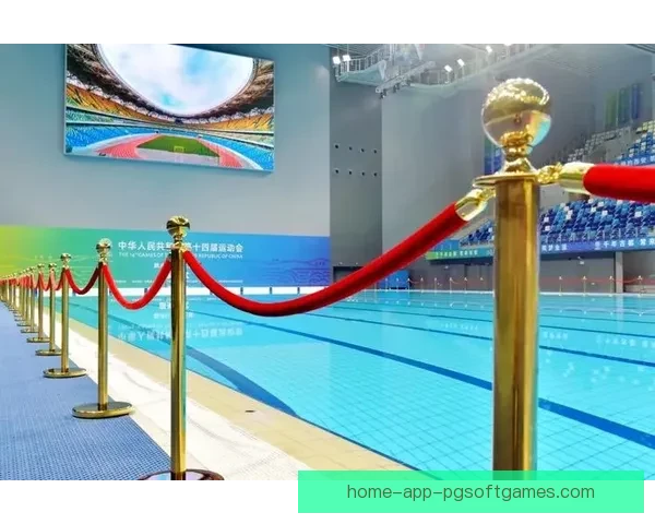 跳水杯赛：冠军的荣耀闪耀水面